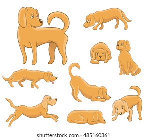 set  cute cartoon dog. vector illustration