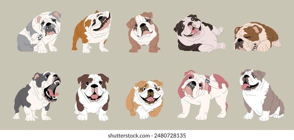 Set of Cute Cartoon English Bulldog Dogs with Various Fur Colors and Coat Types, Different Poses, Isolated Vector Illustration