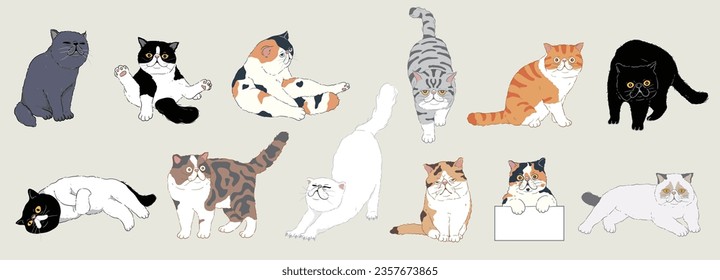 Set of cute cartoon exotic shorthair cats with different colored fur and type of coat, breeds. Isolated. Vector illustration