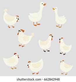 Set of cute cartoon farm birds on gray background
