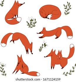 Set of cute cartoon fox with herbs on white background