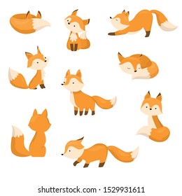 A set of cute cartoon foxes in different actions. Vector illustration in flat cartoon style.