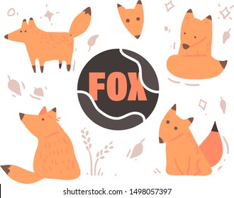 Set of cute cartoon foxes . Fox vector illustration