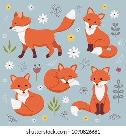 Set of cute cartoon foxes in modern simple flat style. Isolated vector illustration