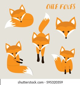 Set of cute cartoon foxes in modern flat style. Animal vector illustration