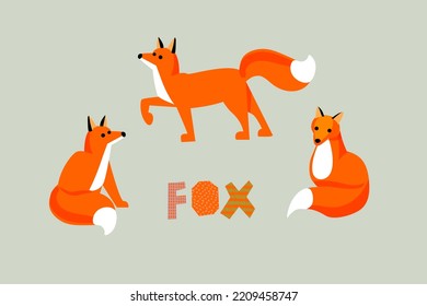 Set of cute cartoon foxes in narrow simple flat style. Isolated math illustration