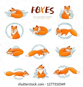 Set of cute cartoon foxes. Vectorn illustration. 