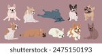 Set of Cute Cartoon French Bulldog Dogs with Various Fur Colors and Coat Types, Different Breeds. Isolated Vector Illustration