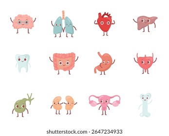 Set of cute cartoon human internal organs characters including heart, brain, liver, lungs, kidney, stomach, uterus and more for children medical and educational purposes
