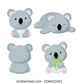 Set of cute cartoon koalas in various poses. Isolated on white background. Collection of funny koalas -  eating eucalyptus leaves, sitting, sleeping. Vector illustration EPS8