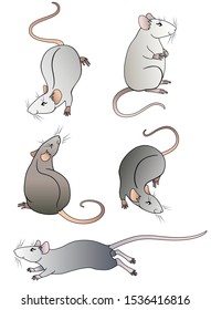 Set of cute cartoon linear decorative rats. Five decorative rats for New Year cards 2020 - vector set. Little mouse.