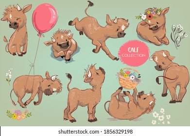 set of cute cartoon lovely calf. vector collection