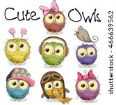 Set of cute cartoon owls on a white background