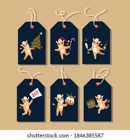 Set of Cute Cartoon Ox, Cows Greeting Christmas Tags.New Year Cattle ,Christmas Festive Attributes. Greetings Elements.Paper Labels,Chinese New Year 2021 Symbol.Holiday Animals Set.Vector Illustration