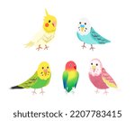 set with cute cartoon parrots illustrations