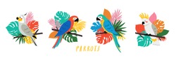 набор с иллюстрациями милых мультяшных попугаев с разными листьями пальмы и монстеры в ярких цветах. Векторная иллюстрация попугая на белом фоне