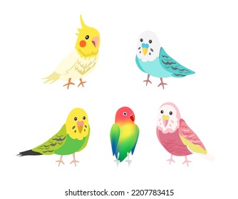 set with cute cartoon parrots illustrations