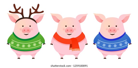 Set of cute cartoon pigs, winter Christmas vector illustration, New Year 2019