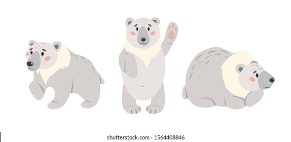 Set of cute cartoon polar bear. Arctic white bears isolated on white background.