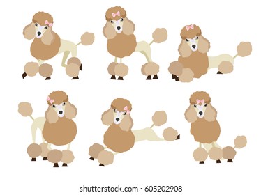 Set of cute cartoon Poodle dog in modern flat style. Animal character design isolate background.  