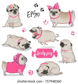 conjunto com pug bonito dos desenhos animados