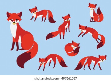 Set of cute cartoon red fox in modern flat style. Animal character design. 