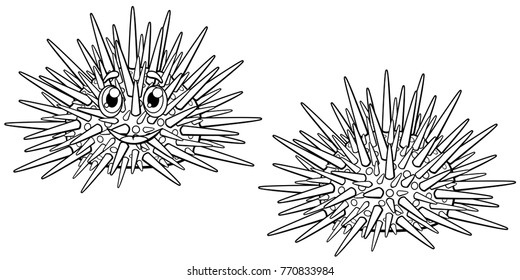 Set of cute cartoon sea hedgehog outline with the person and without. A vector illustration lineart of marine animals separately on a white background. Page of a coloring.