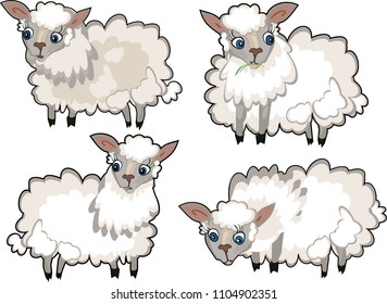Set of cute cartoon sheep with curly wool on white background