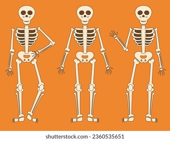 Set of cute cartoon skeletons in different poses for Halloween or similar.