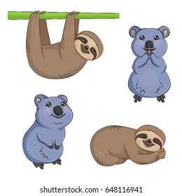 A set of cute cartoon smiling lazy sloth australian quokka animal characters in different positions. Sloth on the tree, sleeping, eating and smiling quokka.