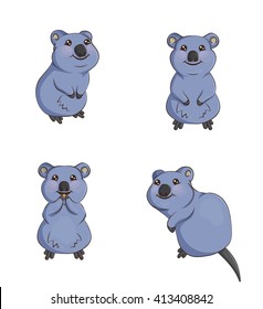 A set of cute cartoon smiling quokka animals in various poses, sitting, eating, front and back. Decorations for parties and design elements.