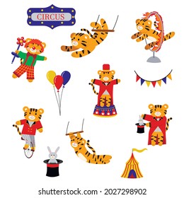A set of cute cartoon tigers. Tigers are circus performers. Vector isolated on a white background