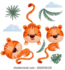 Set of cute cartoon tigers, symbol of the year 2022. The animal sleeps and is sad, offended, shows teeth and prepares to attack with clouds and tropical leaves. Vector graphics on a white background.