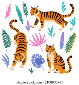 Set of cute cartoon tigers and tropical floral elements isolated on white background.