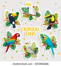 set of cute cartoon tropical birds stickers. illustration of cartoon cockatoo, toucans and parrot with tropical leaves. cute tropical birds stickers set