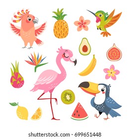 Set of cute cartoon tropical birds and fruit isolated on white background