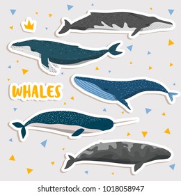 Set Of Cute Cartoon Whales. Whales Stickers Set: Blue, Fin, Humpback, Gray Whales And Narwhal