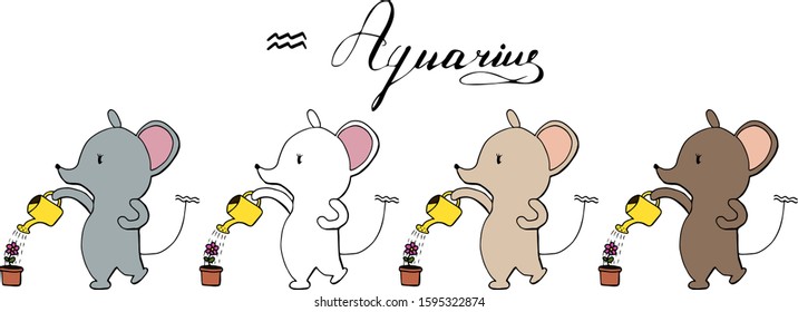 Set of cute cartoon zodiac mouses. Vector illustration of Aquarius in four colours. Mouse collection 2020 year.