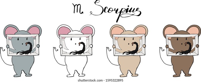 Set of cute cartoon zodiac mouses. Vector illustration of Scorpius in four colours. Mouse collection 2020 year.