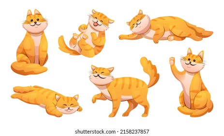 Set of cute cat in different poses cartoon illustration