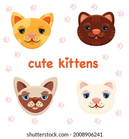 a set of cute cat faces. four breeds of cats