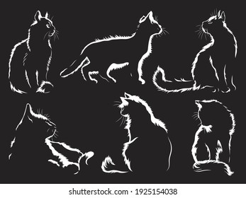 Set of cute cat figures. Collection of home fluffy outline kittens. Vector illustration on black background. Hand Drawn. Logo kitten for veterinary clinic.