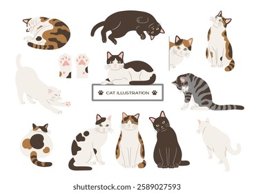 Set of cute cat hand drawn illustrations. Vector illustration