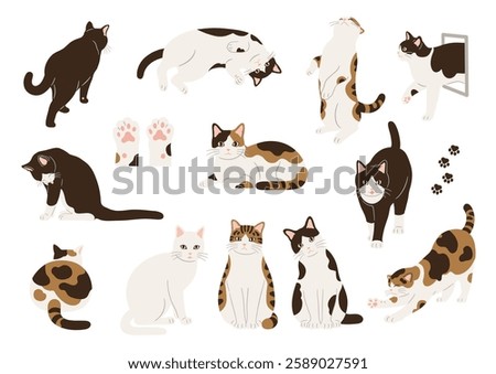 Set of cute cat hand drawn illustrations. Vector illustration