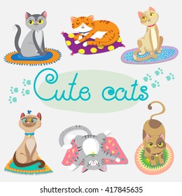 Set  of cute cat on rugs. Vector illustration