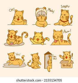 a set of cute cat poses