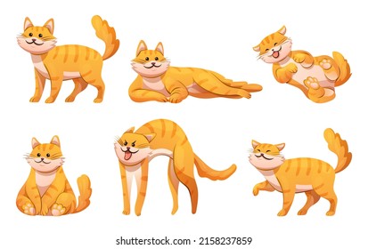 Conjunto de gatos lindos en varias poses ilustración de dibujos animados