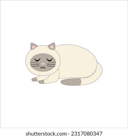 set cute cat vector illustration