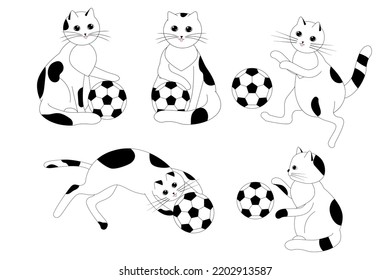 Set süße Katzen mit Kugeln. Schönes Kätzchen.