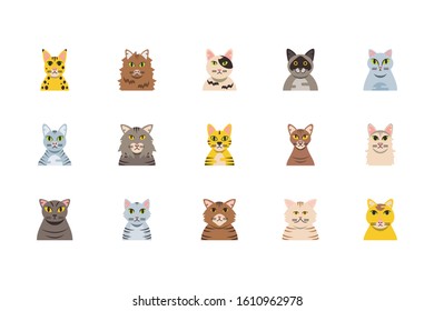 Set of cute cats cartoons design, Animal pet kitten domestic feline kitty mammal beautiful and portrait theme Vector illustration